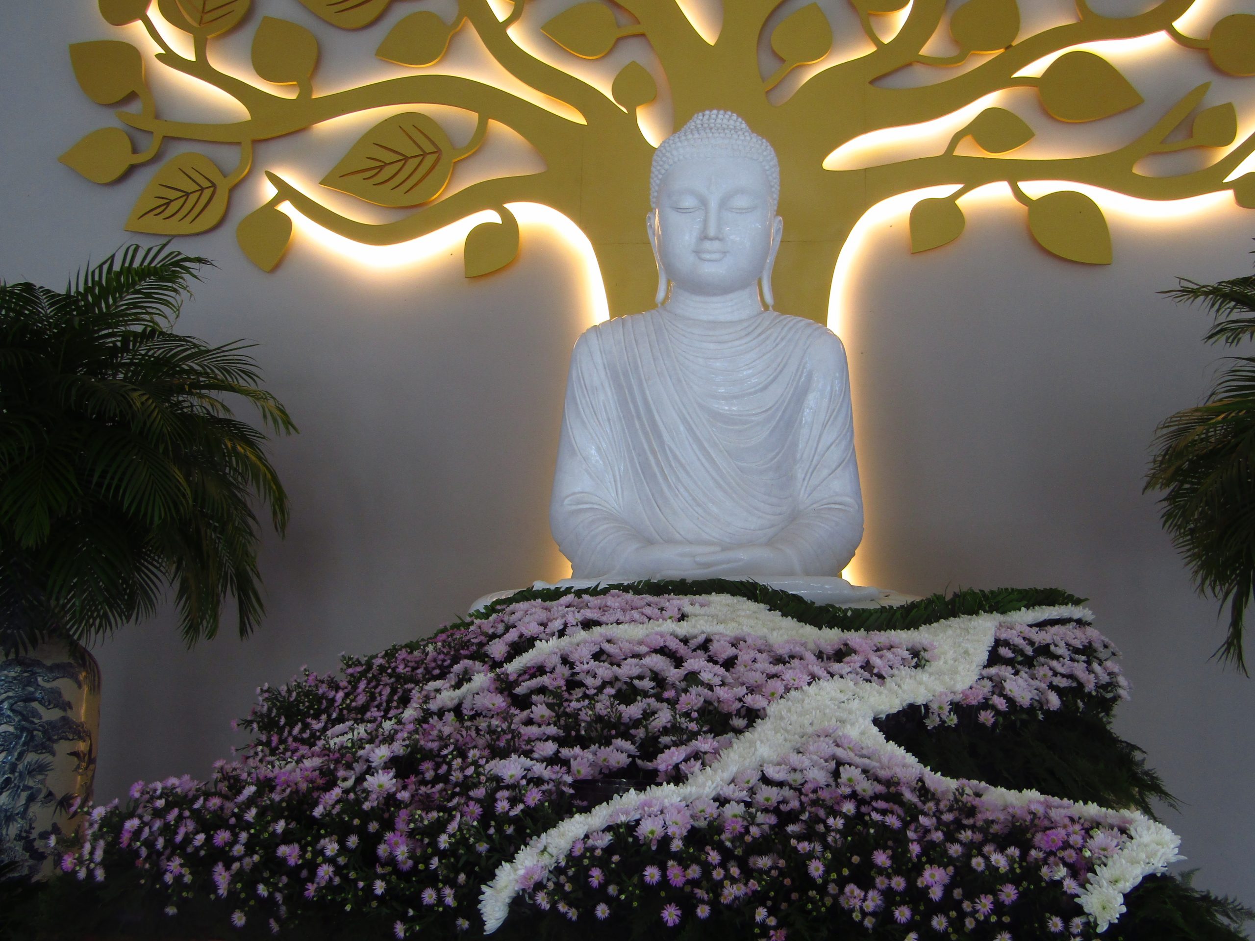 Chọn bình an nơi cửa Phật